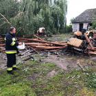 Fotka nr 5 z 24