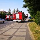 Fotka nr 1 z 3