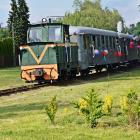Fotka nr 2 z 21