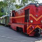 Fotka nr 3 z 21