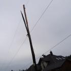 Fotka nr 2 z 4