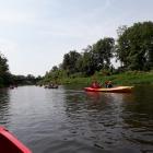zdjęcie nr 43