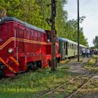 Fotka nr 2 z 19