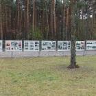Fotka nr 5 z 22