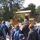 zdjęcie nr 13