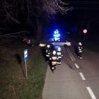 Fotka nr 1 z 2