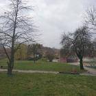 Fotka nr 1 z 2