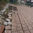 zdjęcie nr 7