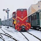 Fotka nr 4 z 13