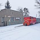 zdjęcie nr 8