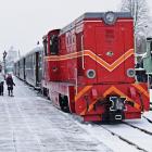 Fotka nr 3 z 13
