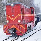 zdjęcie nr 7