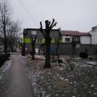 Fotka nr 2 z 5