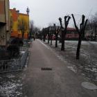 Fotka nr 0 z 5
