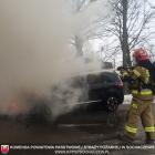 Fotka nr 2 z 4