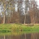 zdjęcie nr 9