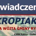 Fotka nr 1 z 2