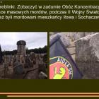 zdjęcie nr 36