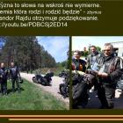 zdjęcie nr 32