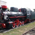 Fotka nr 5 z 11