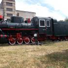 Fotka nr 4 z 11