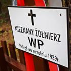 Fotka nr 1 z 13