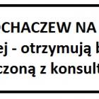Fotka nr 3 z 4