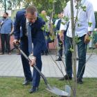 zdjęcie nr 8