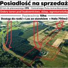 Fotka nr 1 z 2