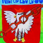 zdjęcie nr 24