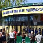 zdjęcie nr 7