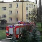 Fotka nr 1 z 3