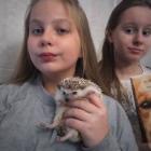 zdjęcie nr 8