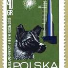 Fotka nr 4 z 5