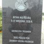 zdjęcie nr 10