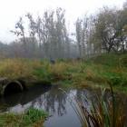 zdjęcie nr 31