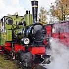 Fotka nr 4 z 15