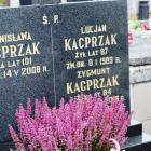 zdjęcie nr 10