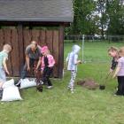 zdjęcie nr 7