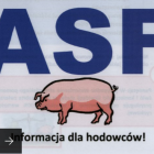 Fotka nr 2 z 7