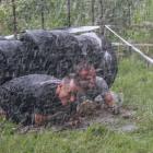 zdjęcie nr 38