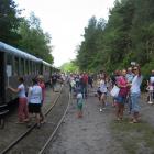 Fotka nr 5 z 9