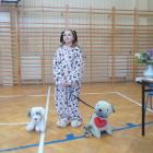 zdjęcie nr 7