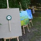 Fotka nr 4 z 11