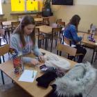 zdjęcie nr 7