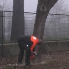 zdjęcie nr 3