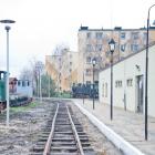 zdjęcie nr 12
