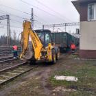 Fotka nr 4 z 19