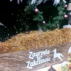 zdjęcie nr 13