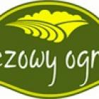 zdjęcie nr 5